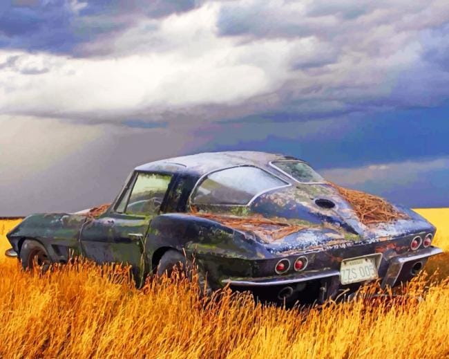 Abandoned Car Paint By Numbers
