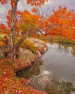 Fall Nature Paint By Numbers