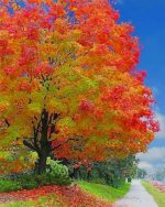 Autumn Tree Paint By Numbers