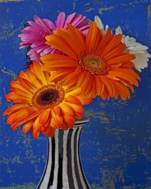 Barberton Daisies Vase Paint By Numbers