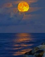 Moonlight Seascape Paint By Numbers