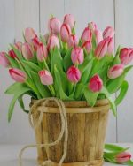 Pink Tulips Bucket Paint By Numbers