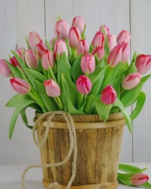 Pink Tulips Bucket Paint By Numbers