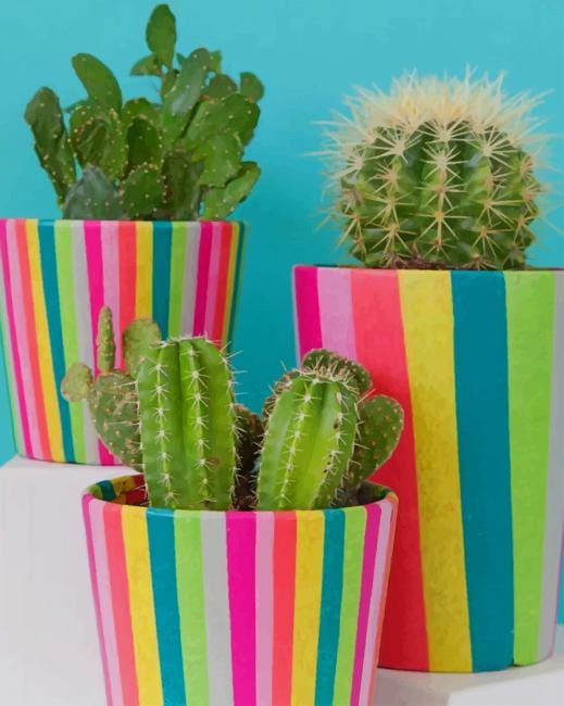 Cactus Plants Paint By Numbers