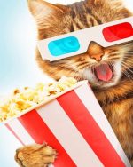 Cat And Popcorn Paint By Numbers