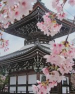 Temple Cherry Blossom Paint By Numbers