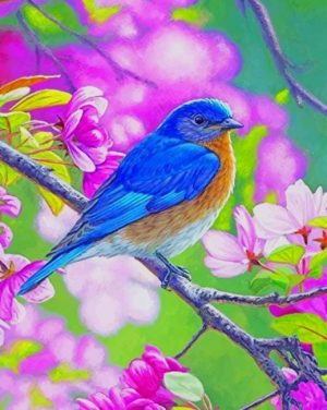 Bluebird And Blossoms Paint By Numbers