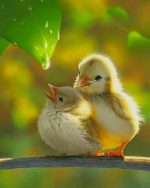 Cute Chicks Paint By Numbers