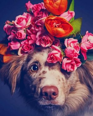 Dog With Flowers Crown Paint By Numbers