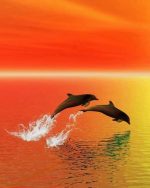 Dolphins Jumping Paint By Numbers
