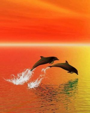 Dolphins Jumping Paint By Numbers