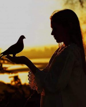 Girl And Bird Silhouette Paint By Numbers