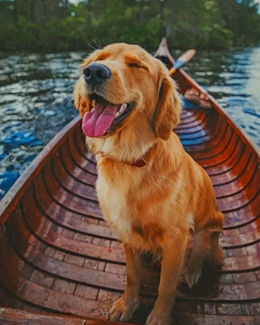 Puppy On A Boat Paint By Numbers