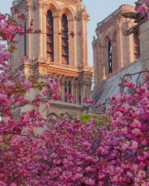 Notre Dame De Paris Cathedral Paint By Numbers