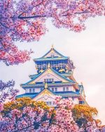 Osaka Castle paint by numbers