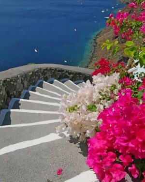 Santorini Greece Stairs Paint By Numbers