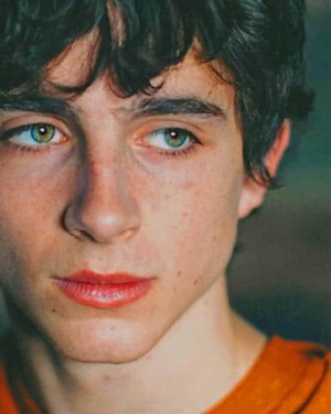 Timothee Chalamet paint by numbers