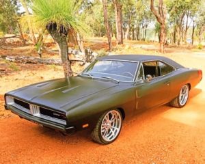 1969 Dodge Charger Paint By Numbers