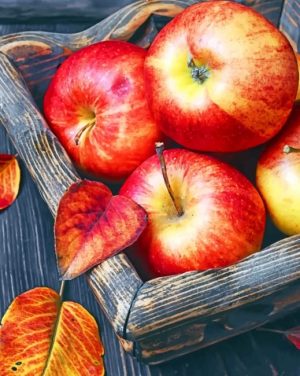 Apples Fruit Paint By Numbers