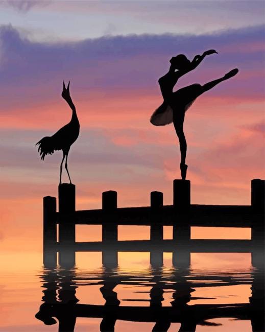 Ballerina And Bird Silhouette Paint By Numbers