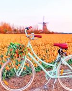 Bike In Tulips Field Paint By Numbers