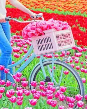 Bike In Tulips Field paint by numbers