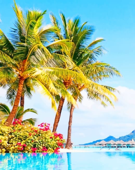 Bora Bora Island Paint By Numbers