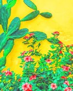 cactus plant paint by numbers