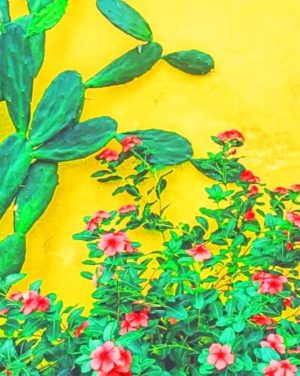 cactus plant paint by numbers