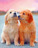 Cute Puppies Paint By Numbers