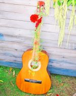 Spanish Guitar Paint By Numbers