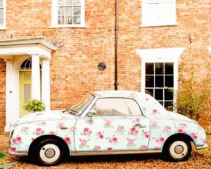 Floral Nissan Figaro Paint By Numbers