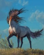 Wild Grey Horse Paint By Numbers