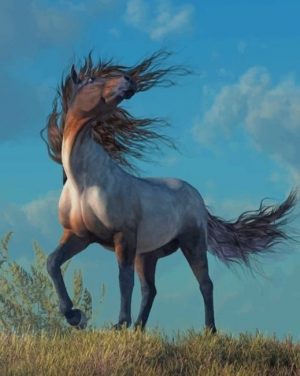 Wild Grey Horse Paint By Numbers