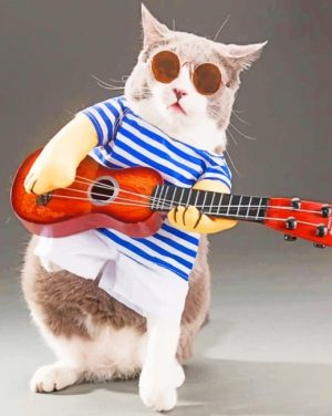Guitarist Cat Paint By Numbers