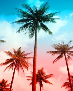 Hawaii Palm Trees Paint By Numbers