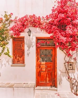 Home Door Flowers Paint By Numbers