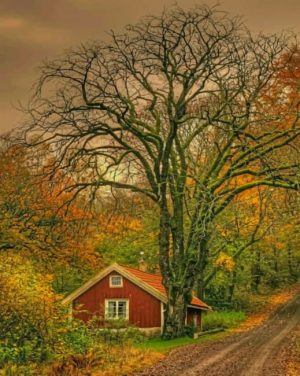 Forest Log Cabin Paint By Numbers