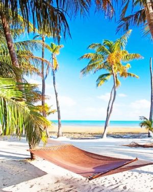 Islamorada Beach Paint By Numbers