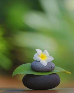 Flower On Stacked Rocks Paint By Numbers