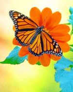 Monarch Butterfly Paint By Numbers