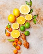 Citrus Fruits Paint By Numbers