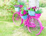 Floral Pink Bicycle Paint By Numbers