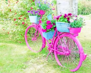 Floral Pink Bicycle Paint By Numbers