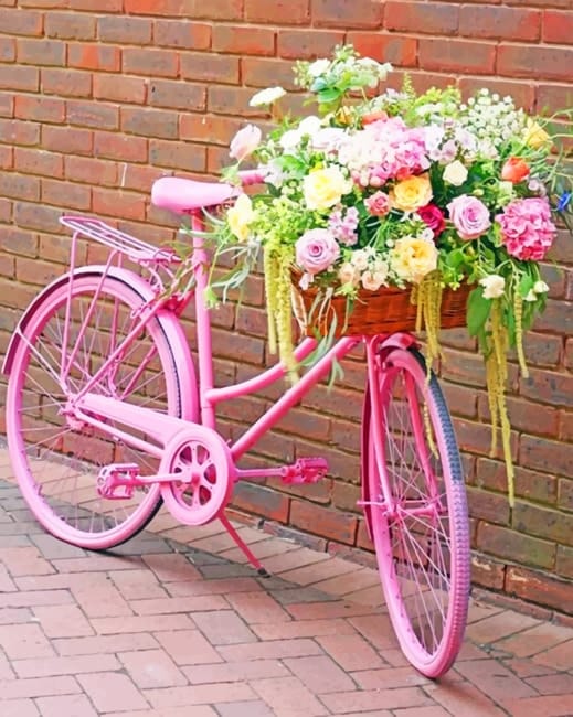 Pink Bike With Flowers Paint By Numbers