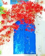 Red Flowers And Blue Door Paint By Numbers