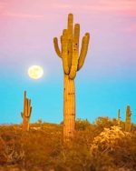 Saguaro Cactus Paint By Numbers