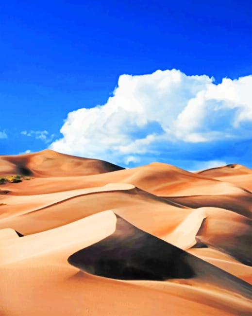 Sand Dunes Desert Paint By Numbers