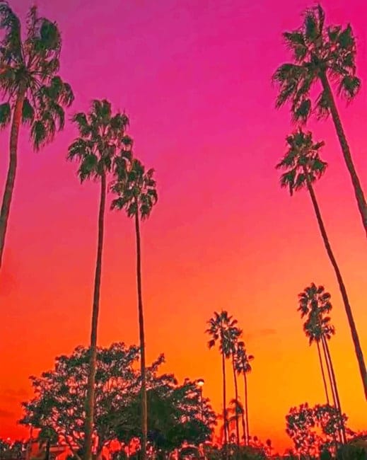 Sunset View And Palms Paint By Numbers