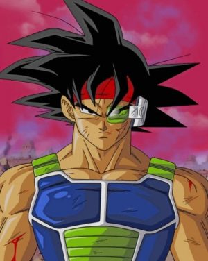Vegeta Dragon Ball Paint By Numbers
